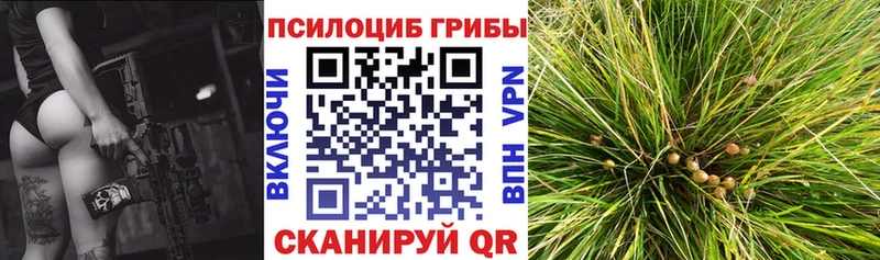 Галлюциногенные грибы MAGIC MUSHROOMS  Купить  Сердобск 